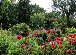 Poczdam, Park