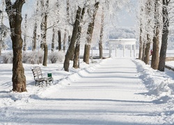 Park, Śnieg, Ławka, Alejka