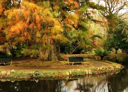 Park, Rzeka, Ławki, Drzewa, Jesień