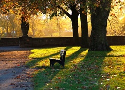 Park, Ławka, Alejki, Liście, Przebijające, Światło, Jesień