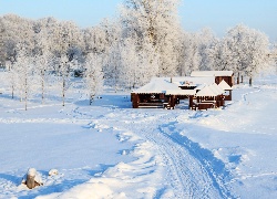 Zima, Ścieżka, Ośnieżony, Domek, Drzewa