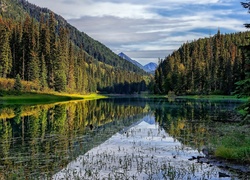 Góry, Lasy, Jezioro, Odbicie