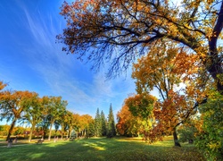 Jesień, Park, Drzewa, Niebo