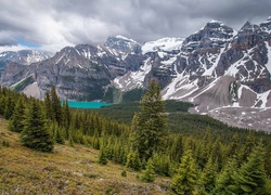 Kanada, Park Narodowy Banff, Dolina Dziesięciu Szczytów, Dolina Valley of the Ten Peaks, Jezioro Moraine, Góry, Lasy, Drzewa, Szczyty
