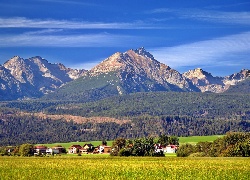 Tatry, Latem, Pola, Wioska