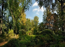Park, Czerwony, Mostek, Obłoki, Światło, Cień, Drzewa
