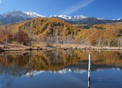 Jezioro, Góry, Las
