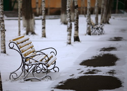 Park, Brzozy, Zima, Ławki, Topniejący, Śnieg