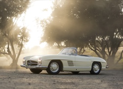 Mercedes, 300SL