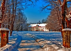 Zima, Śnieg, Dom, Drzewa, Droga