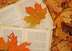 Jesień, Liście, Książka