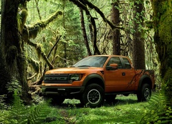 Ford, Raptor, Dżungla