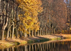 Park, Jesień, Drzewa, Staw