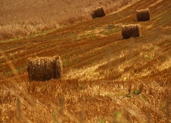 Bale, Zboże