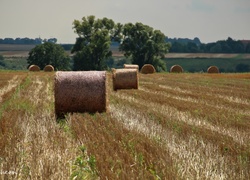 Zżęte, Zboże, Pole, Bale, Lato