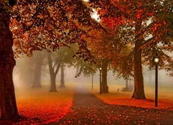 Park, Alejki, Latarnie, Mgła, Liście, Jesień