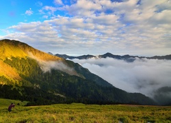 Mężczyzna, Fotograf, Polana, Góry, Lasy, Mgła