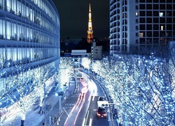 Tokio, Nocą, Drzewa, Świąteczna, Dekoracja