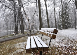 Park, Ławka, Drzewa, Alejka, Staw