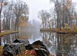 Rzeka, Kaczki, Kamienie, Park, Mgła, Jesień