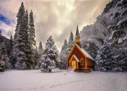 Zima, Świerki, Drzewa, Kaplica, Kościółek, Las, Park Narodowy Yosemite, Stan Kalifornia, Stany Zjednoczone