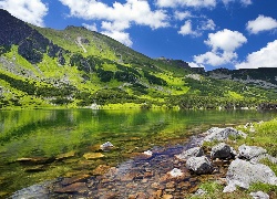 Tatry, Hala, Gąsienicowa, Jezioro, Kamienie