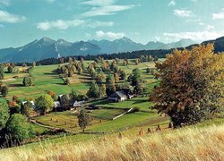 Tatry, Lasy, Pola, Wieś