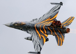 F-16 Fighting Falcon