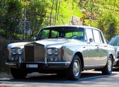 Rolls-Royce,drzewa