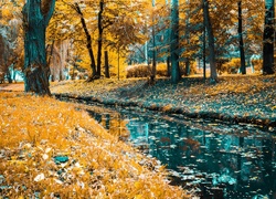 Rzeka, Park, Drzewa, Liście, Jesień