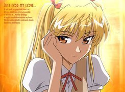 School Rumble, blond włosy, kokarda