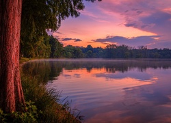 Jezioro, Las, Zachód, Słońca