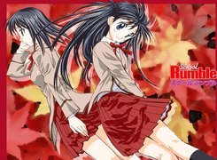 School Rumble, plisowana spódniczka