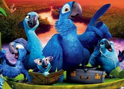 Rio 2, Ptaki