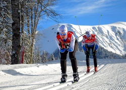 Sochi 2014, Zawodnicy, Narty