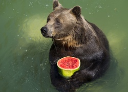 Niedźwiedź, Owoc, Woda