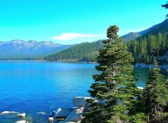 Nevada, Jezioro, Tahoe, Lasy, Kamienie, Świerki