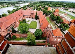 Malbork, Zamek, Rzeka, Nogat, Most, Las