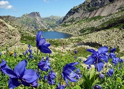 Góry, Jezioro, Łąka, Niebieskie, Kwiaty