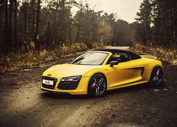 Audi R8, Las, Droga