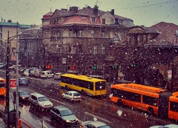 Serbia, Belgrad, Miasto, Samochody, Autobusy, Zima, Padający, Śnieg