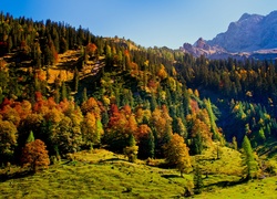 Austria, Tyrol, Karwendel, Jesień, Góry, Lasy