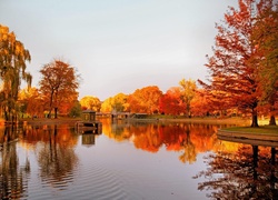 Rzeka, Most, Park, Jesień