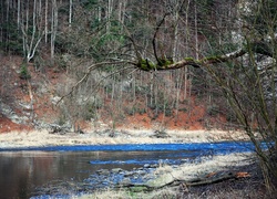 Góry, Pieniny, Skarpa, Las, Rzeka, Dunajec, Wiosna
