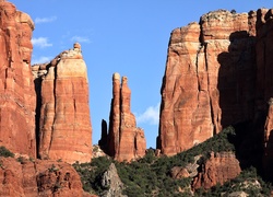 Skały, Kanion, Zarośla, Sedona, Arizona