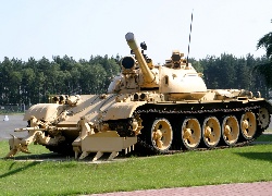 Czołg, T-55, Drzewa, Trawa