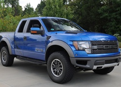 Ford, Raptor, Drzewa