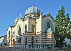 Bazylea, Domy, Synagoga, Drzewo