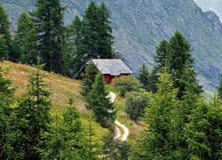 Góry, Alpy, Las, Łąka, Droga, Dom, Tyrol