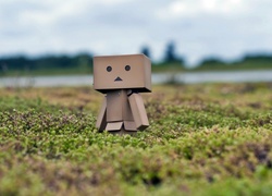 Łąka, Danbo, Rozmycie